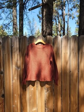 Rust Crewneck Knit Sweater